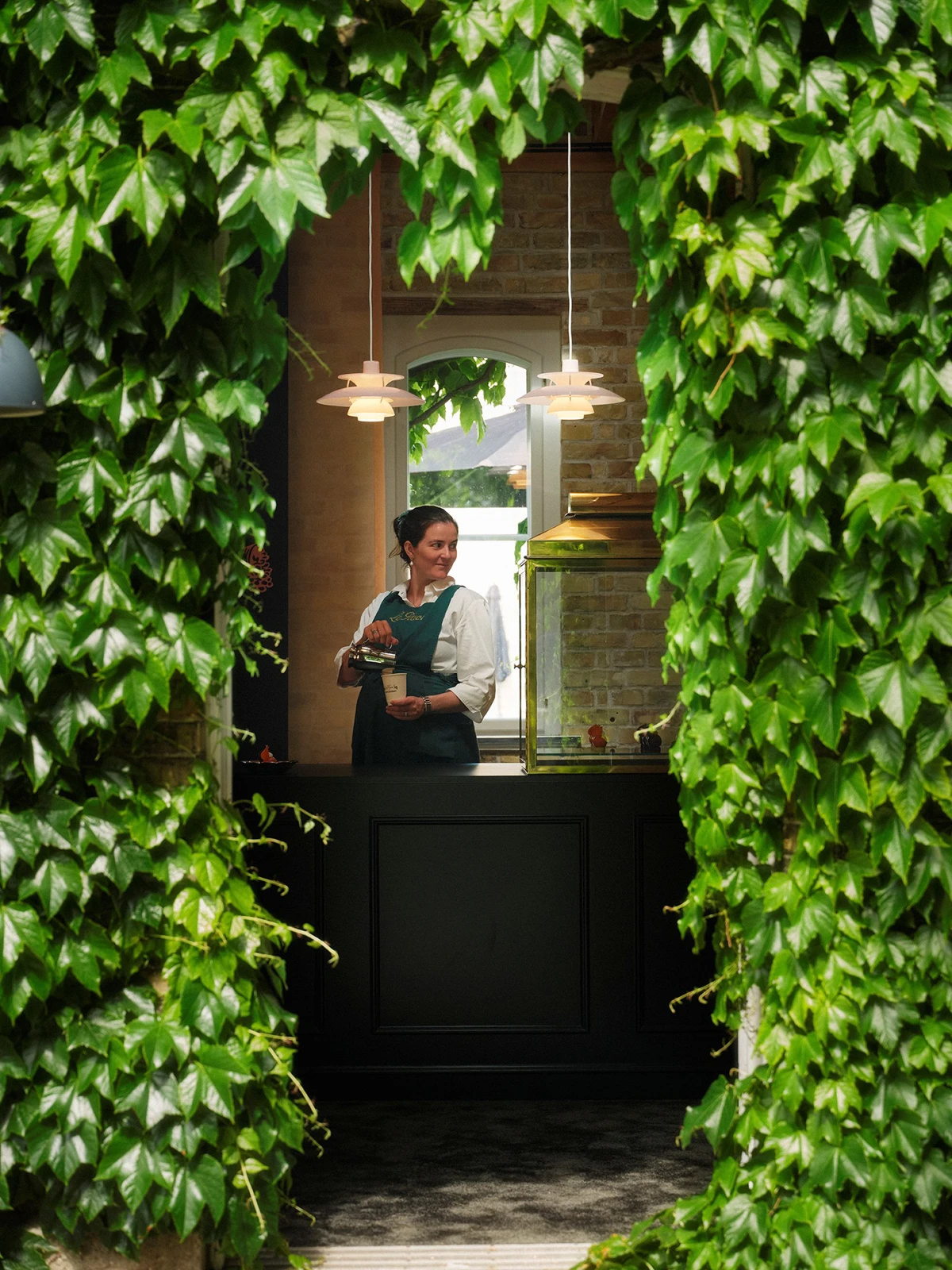 Two white PH 5 pendants hang over a café counter framed by lush green ivy. © 2026 Louis Poulsen.