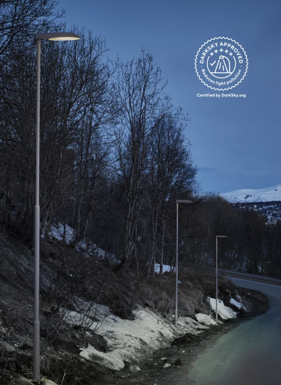 Las luminarias Kipp Post bordean una carretera tranquila en un paisaje nevado al anochecer. © 2026 Louis Poulsen.
